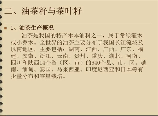 油茶籽（zǐ）與茶葉籽